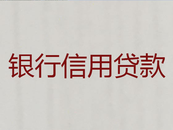 蒙自市贷款中介公司-信用贷款